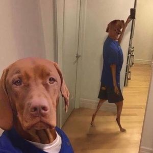 Meet your Posher, Matt